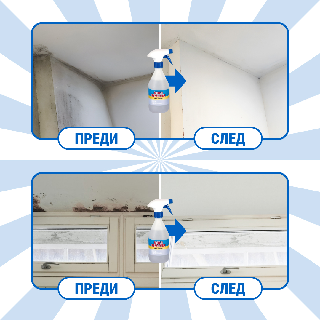 Moldguard – Спрей за премахване на мухъл и трайно отстраняване на мухъл в дома - Image 6