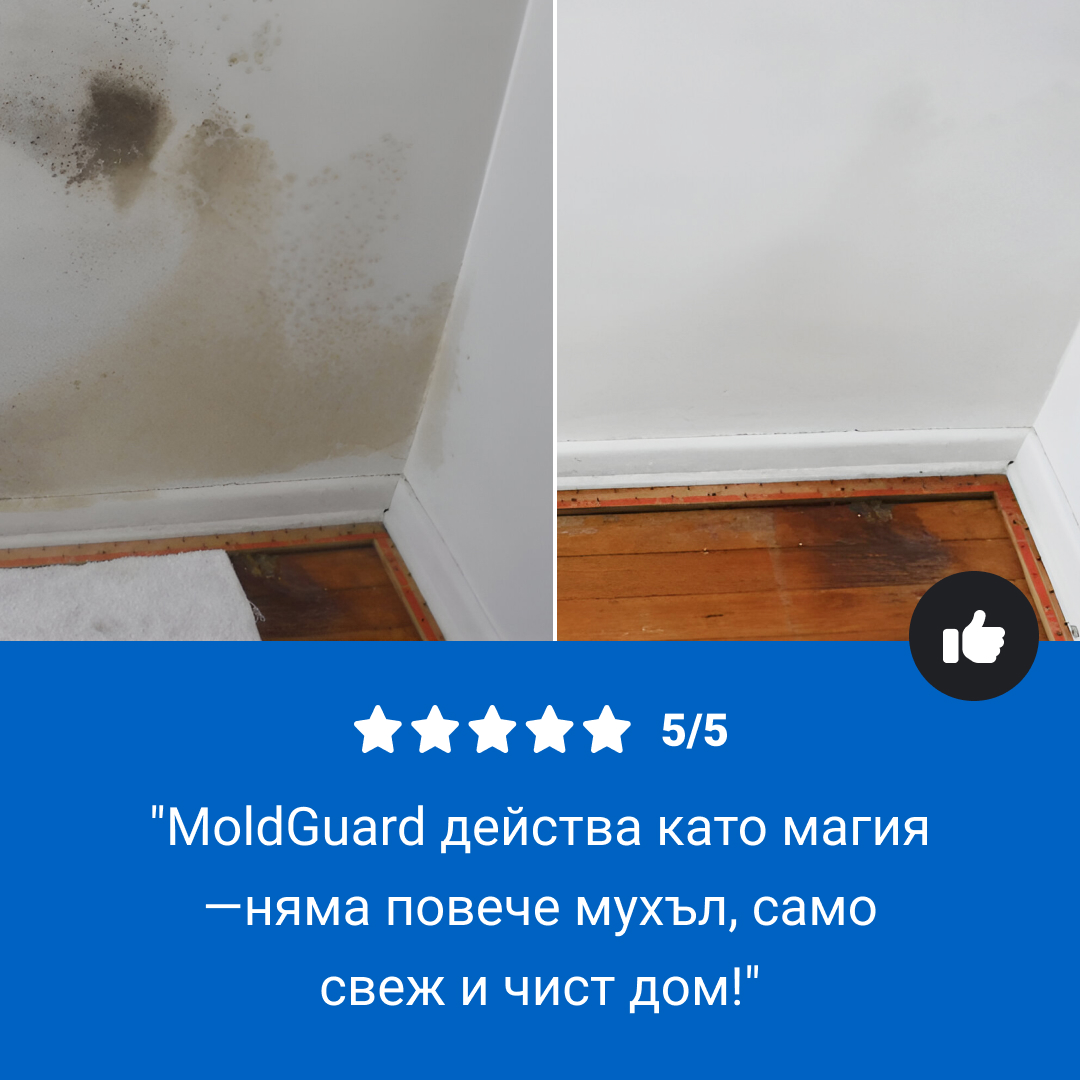 Moldguard – Спрей за премахване на мухъл и трайно отстраняване на мухъл в дома - Image 8