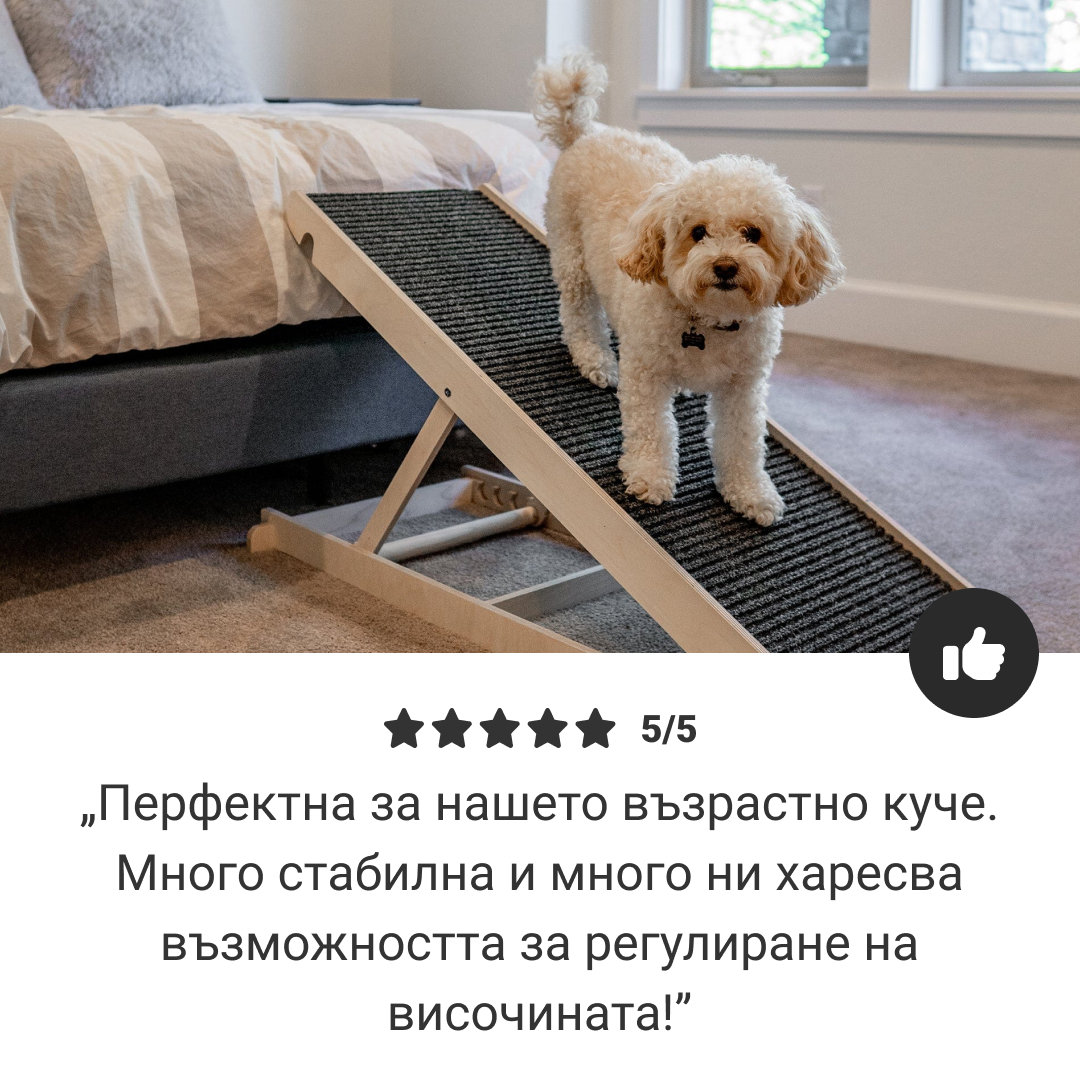 PetEase – рампа за лесно и безопасно изкачване за малки и възрастни домашни любимци - Image 6